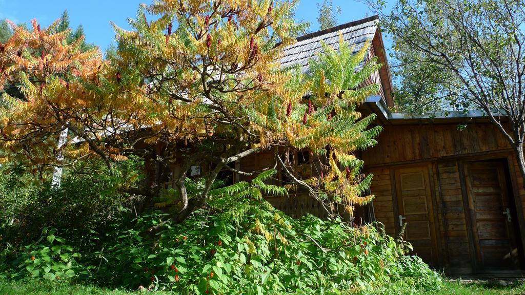 Woodenhouse Maramures Viseu de Sus Ngoại thất bức ảnh