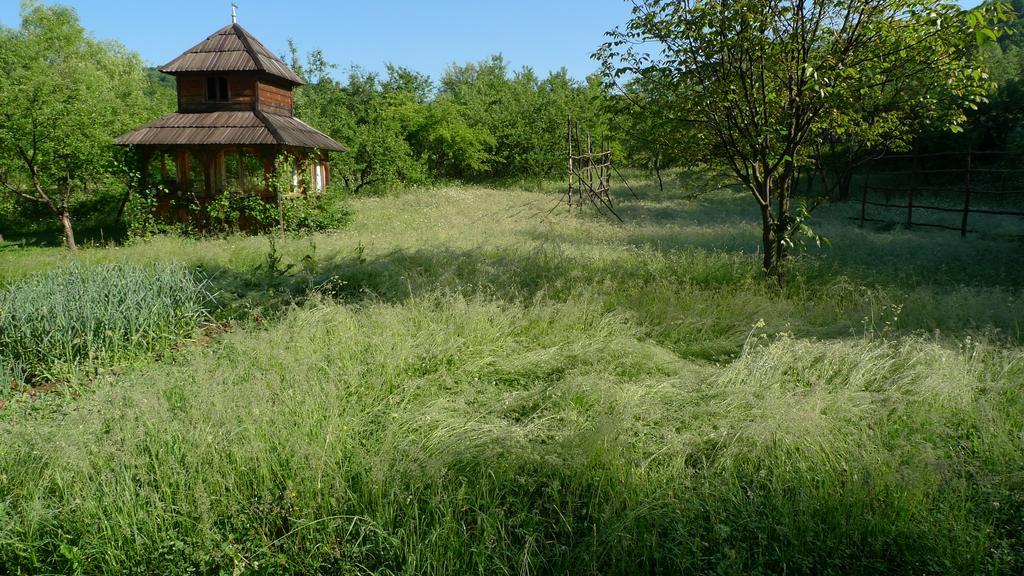 Woodenhouse Maramures Viseu de Sus Ngoại thất bức ảnh