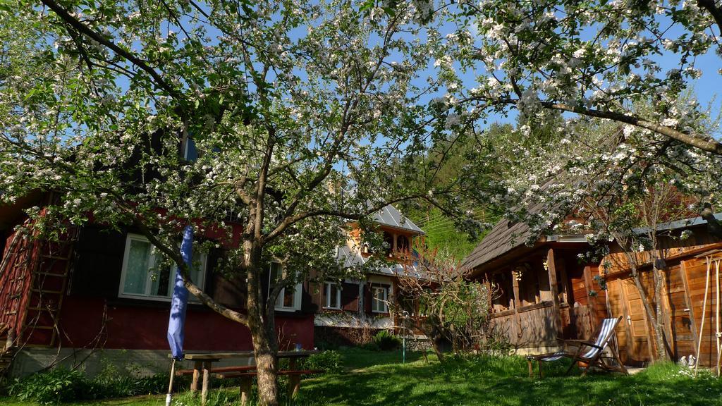 Woodenhouse Maramures Viseu de Sus Ngoại thất bức ảnh