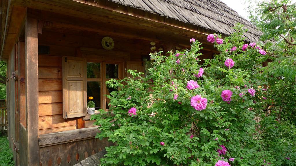 Woodenhouse Maramures Viseu de Sus Ngoại thất bức ảnh