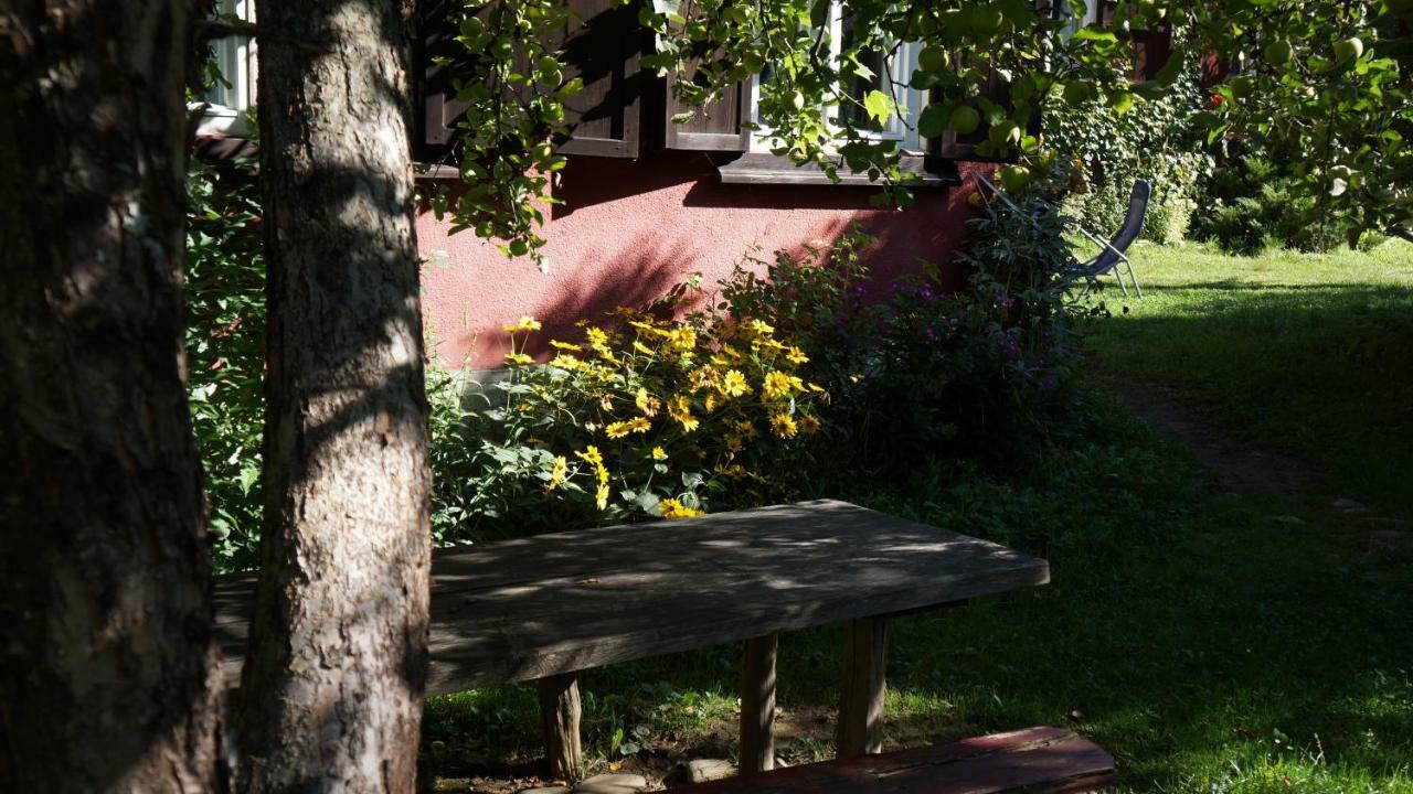 Woodenhouse Maramures Viseu de Sus Ngoại thất bức ảnh