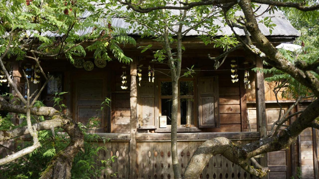 Woodenhouse Maramures Viseu de Sus Ngoại thất bức ảnh